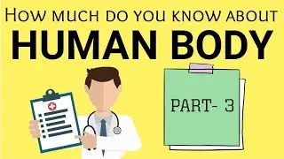Human Body Quiz | Part 3 |