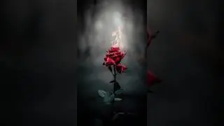 💔💔 broken heart WhatsApp status 💔💔 sad love status | #brokenheartstatus #brokenheart #shorts