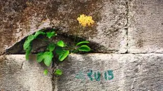 Աւիւն - «Գարուն»