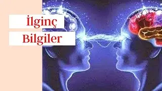 İginç Bilgiler