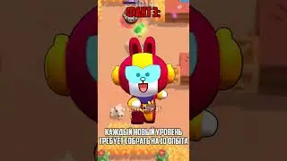 ИНТЕРЕСНЫЕ ФАКТЫ ПРО ОПЫТ В BRAWL STARS 