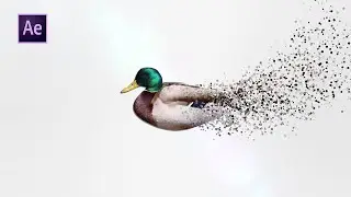 Ducky Particle Logo Animation Trapcode Particular After Effect Tutorial