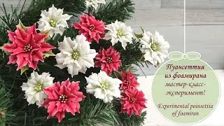 Пуансеттия из фоамирана /мастер-класс-эксперимент/ Experimental poinsettia of foamiran