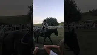 Лошади ❤️и не только....