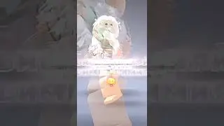 шимия🫶🏻😜у меня это на звонке стояло 