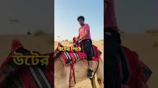 উটের পিঠে 