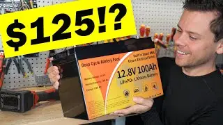 $125 100Ah LiFePO4 a Scam?! Or Actually Good?