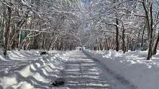 абстакция проходки по аллее