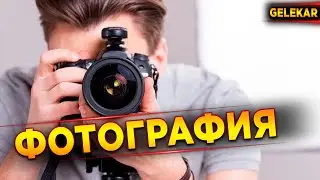 Фотография