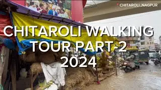 CHITAROLI 2024 | PRATIK SONI | #ganeshchaturthi2024 | #trending #2024 #nagpur