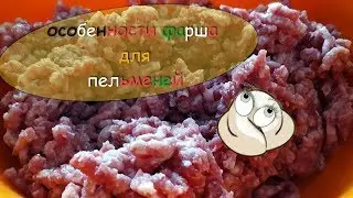 Особенности и секреты приготовления фарша для пельменей. #ГалинаБроновицкая