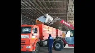 Продаем зерно из России на экспорт.