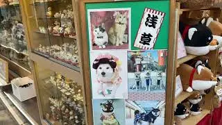 Tokyo.The most famous souvenir street