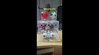 Robotic EYE