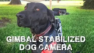 Gimbal Stabilized Camera Dog Mount (Drake Mount)