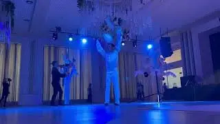 Птицы Галактики