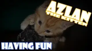 Azlan having a little fun