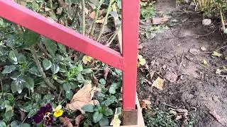 Конструкция для укрытия роз и не только