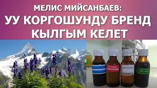ЭЛДИК ДАРЫГЕР МЕЛИС МИЙСАНБАЕВ: УУ КОРГОШУНДУ БРЕНД КЫЛГЫМ КЕЛЕТ