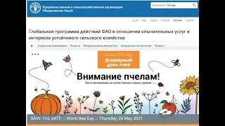 ФАО" Внимание пчелам - восстановление на качественно новом уровне" в России