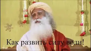 Как развить силу воли!   https://t.me/zaretskiyadvokat