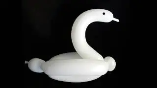 How to Make Two Swan Balloon Animals - Learn to Make the Swan Animal Balloon