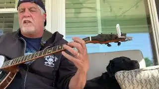 All the Small Things - Blink 182 - Banjo Cover