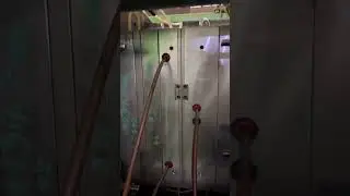 Disinfectant Shampoo Flip top 12 cavity cap mould