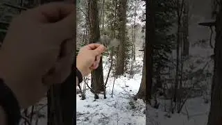 Смотри какая красота