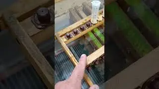 Кормили маток после выхода!! Контакты 8(928)42-88-497 Алексей