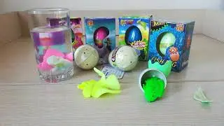 Растишка в яйце