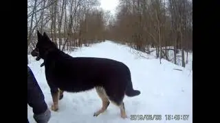 На прогулку!