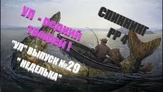 Ултралайт в РР4 Выпуск №29