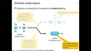 Você conhece a TOM (Teoria do Orbital Molecular)?