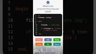 What is the name of the programming language? 