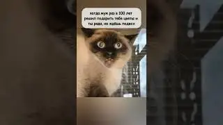 Но в чём?😅