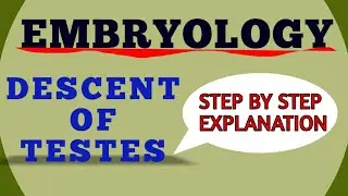 DESCENT OF TESTES : EMBRYOLOGY