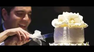 Paniz & Babak  wedding video