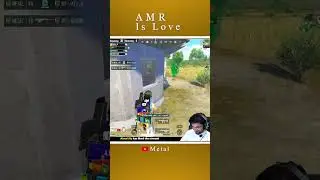 AMR is Love | yt shorts