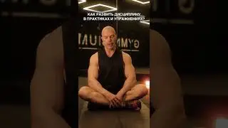 Как развить дисциплину. Вопрос биохакеру