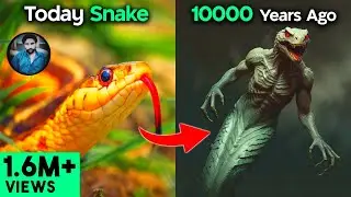 Old real history :: 7 Most Dangerous Animals that are EXTINCT :: World Dinasorce :: #history