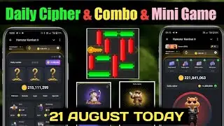 21 August Daily Combo & Cipher Code & Mini Game Hamster Kombat | Daily Combo & Mini Game 21 August