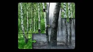 videoplayback 1