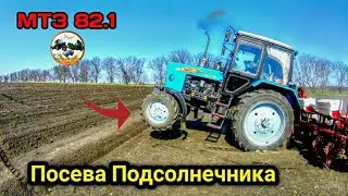 ПОСЕВА ПОДСОЛНЕЧНИКА на сеялки Веста 8 к посеву подсолнухa и Трактор МТЗ 82.1