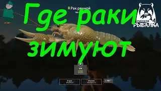 Русская рыбалка 4. Фидер на Вьюнке. Раки и ёрш-носарь на Пастбище.
