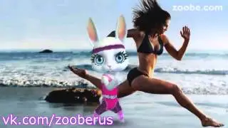Про работу - Zoobe Зайка