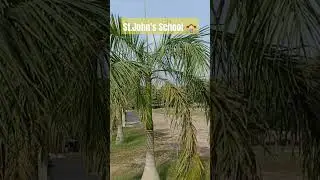 #school