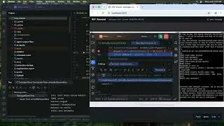IntelliJ IDEA in GUI Integration tests of MCP Steroid