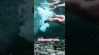 Is It Underwater Love? #nature #underwaterworld #clearwater