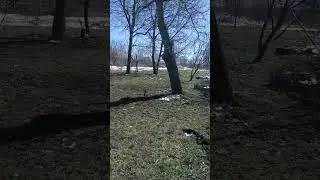 30 марта 2023 